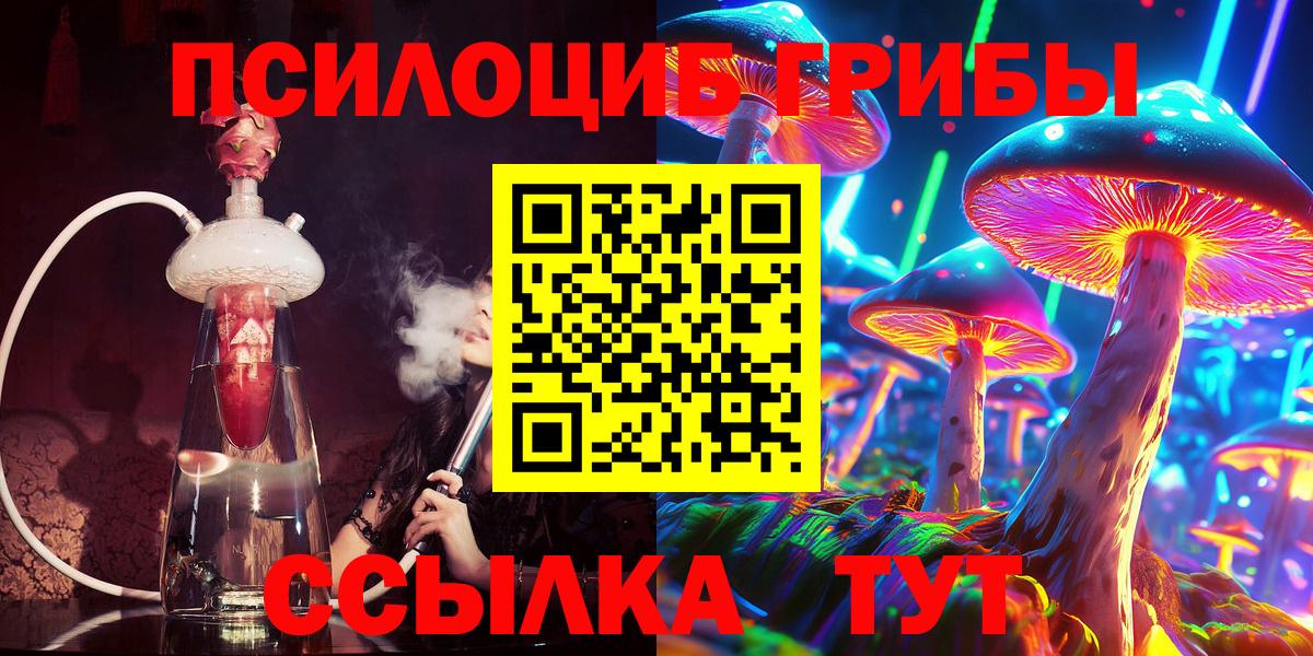 Галлюциногенные грибы Psilocybine cubensis Кемерово