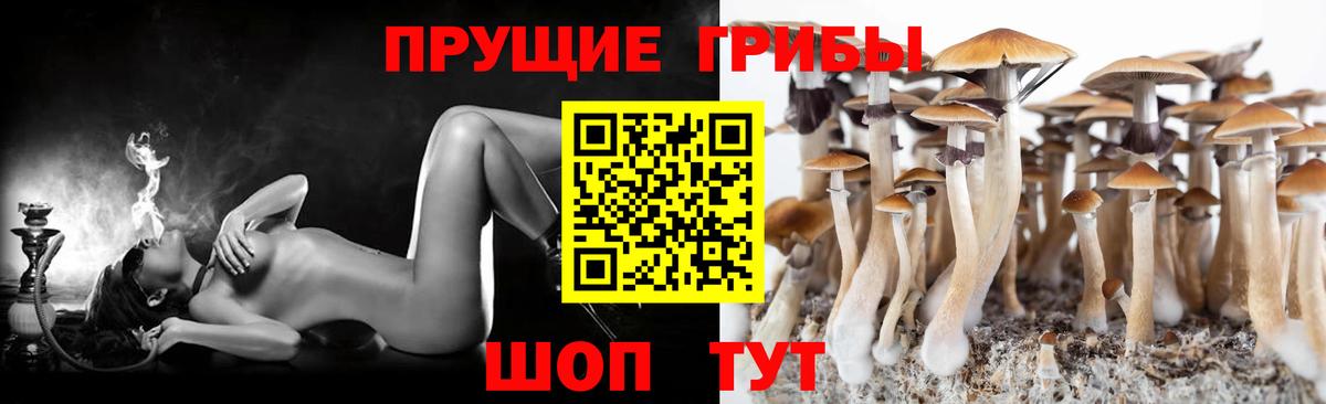 Галлюциногенные грибы GOLDEN TEACHER  Галлюциногенные грибы прущие грибы  Вход с VPN  Кемерово 